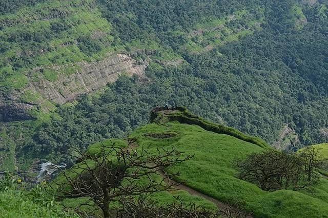 Ulhas Valley & Western Ghats